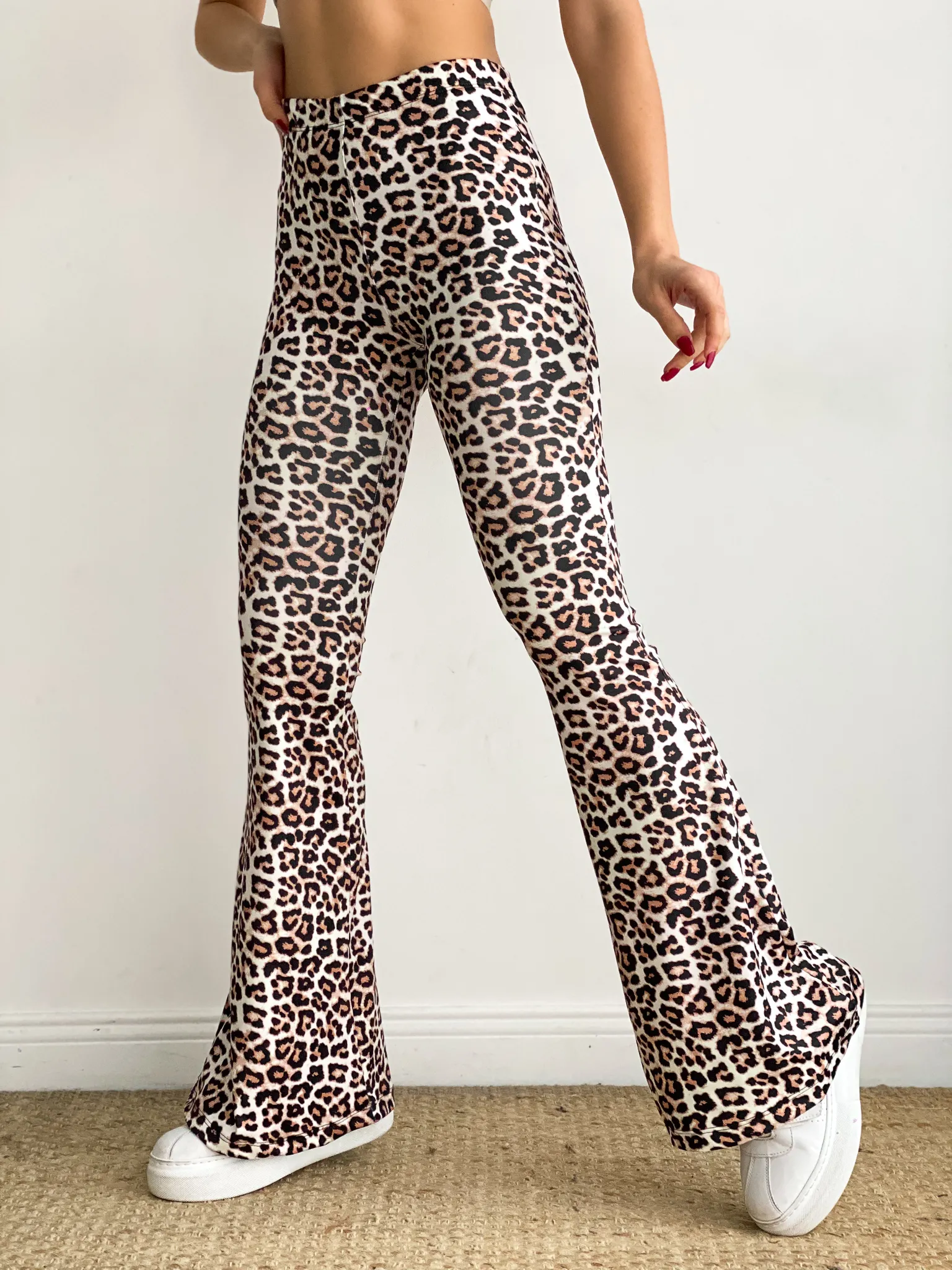25041 leopar ispanyol (2)