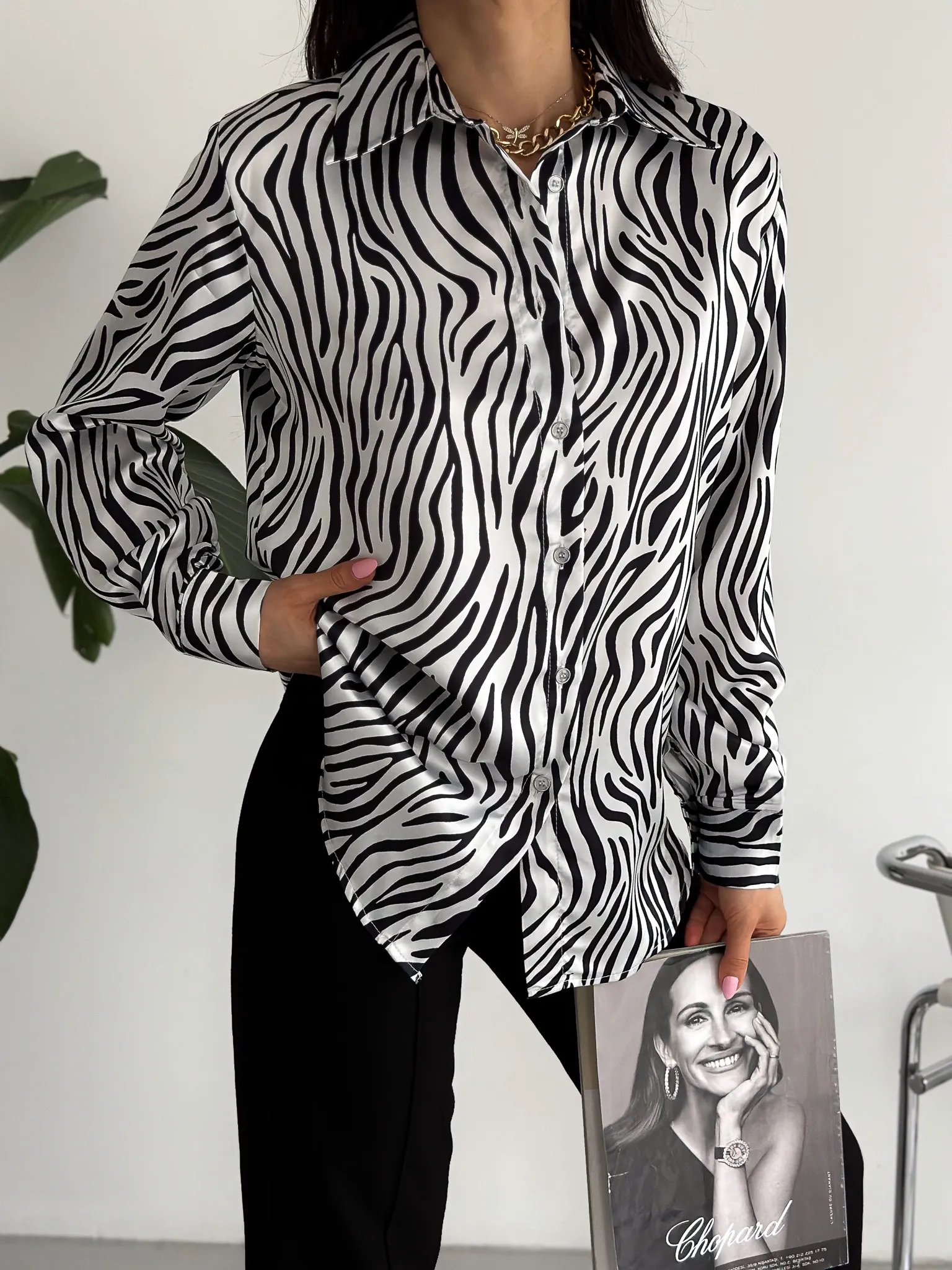 5901zebra (4)